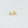 18k Star Set 0.90g